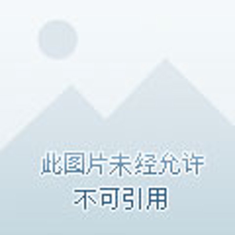 短剧在线观看：如何选择适合自己的平台？